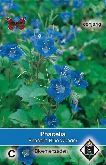 California Bluebell Blue Wonder (Phacelia) 1500 seeds